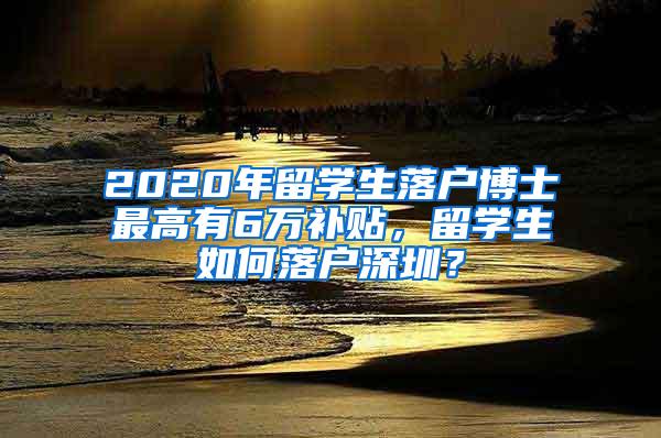 2020年留學生落戶博士最高有6萬補貼，留學生如何落戶深圳？