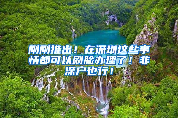 剛剛推出！在深圳這些事情都可以刷臉辦理了！非深戶也行！