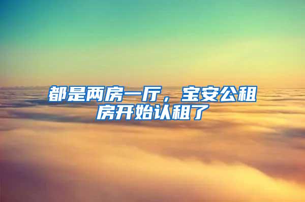 都是兩房一廳，寶安公租房開始認租了