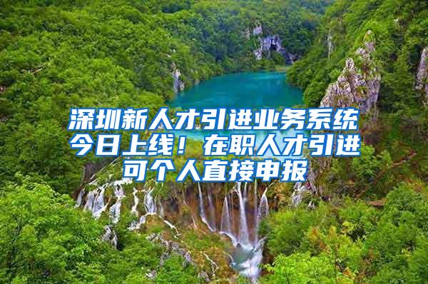 深圳新人才引進(jìn)業(yè)務(wù)系統(tǒng)今日上線！在職人才引進(jìn)可個人直接申報