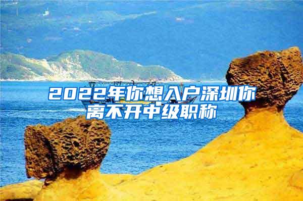 2022年你想入戶深圳你離不開中級職稱