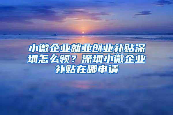 小微企業(yè)就業(yè)創(chuàng)業(yè)補(bǔ)貼深圳怎么領(lǐng)？深圳小微企業(yè)補(bǔ)貼在哪申請(qǐng)