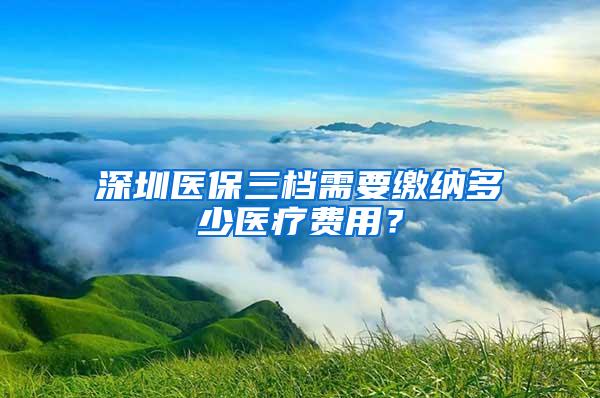 深圳醫(yī)保三檔需要繳納多少醫(yī)療費用？