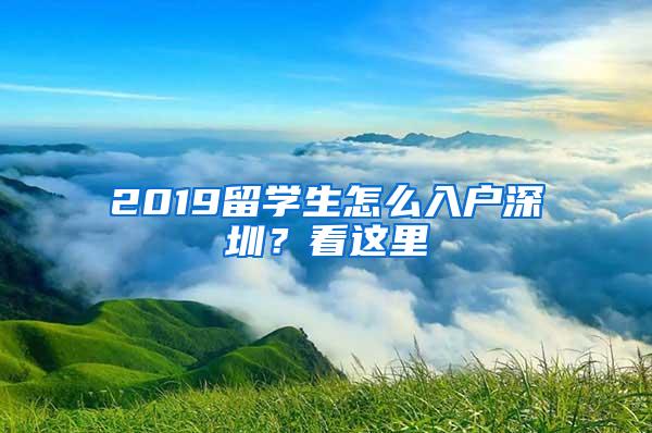 2019留學(xué)生怎么入戶深圳？看這里