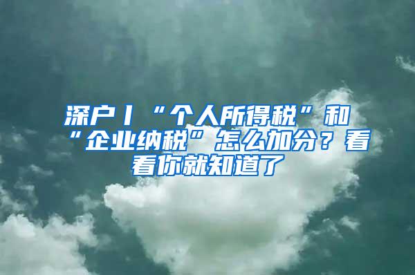 深戶丨“個(gè)人所得稅”和“企業(yè)納稅”怎么加分？看看你就知道了