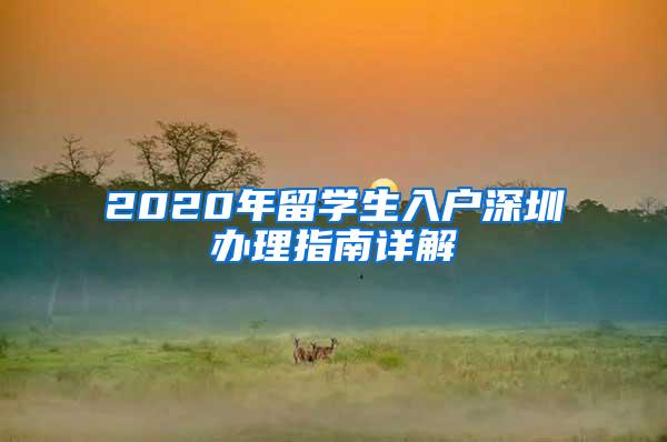 2020年留學(xué)生入戶深圳辦理指南詳解