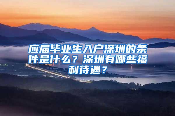 應(yīng)屆畢業(yè)生入戶深圳的條件是什么？深圳有哪些福利待遇？