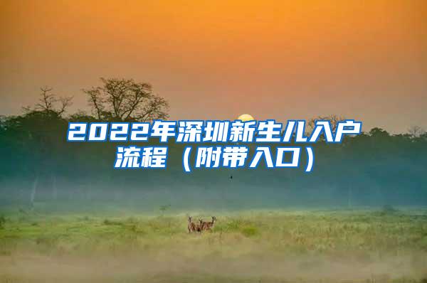 2022年深圳新生兒入戶流程（附帶入口）