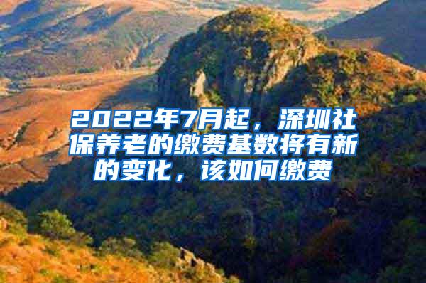 2022年7月起，深圳社保養(yǎng)老的繳費基數(shù)將有新的變化，該如何繳費