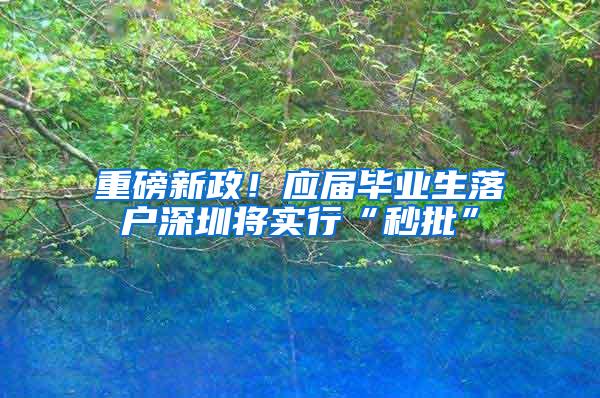 重磅新政！應屆畢業(yè)生落戶深圳將實行“秒批”