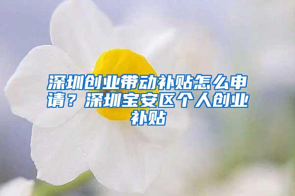 深圳創(chuàng)業(yè)帶動(dòng)補(bǔ)貼怎么申請(qǐng)？深圳寶安區(qū)個(gè)人創(chuàng)業(yè)補(bǔ)貼