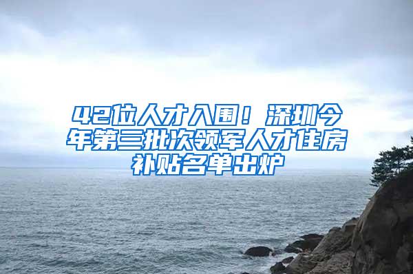 42位人才入圍！深圳今年第三批次領(lǐng)軍人才住房補貼名單出爐