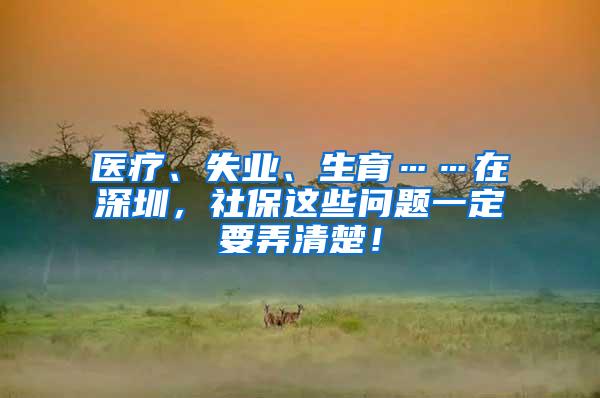 醫(yī)療、失業(yè)、生育……在深圳，社保這些問題一定要弄清楚！