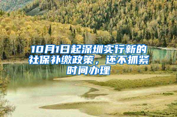 10月1日起深圳實行新的社保補繳政策，還不抓緊時間辦理