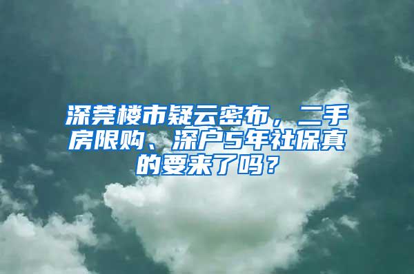 深莞樓市疑云密布，二手房限購、深戶5年社保真的要來了嗎？