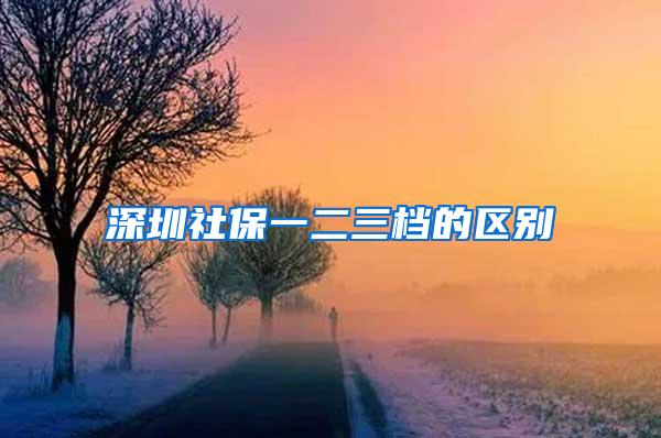 深圳社保一二三檔的區(qū)別