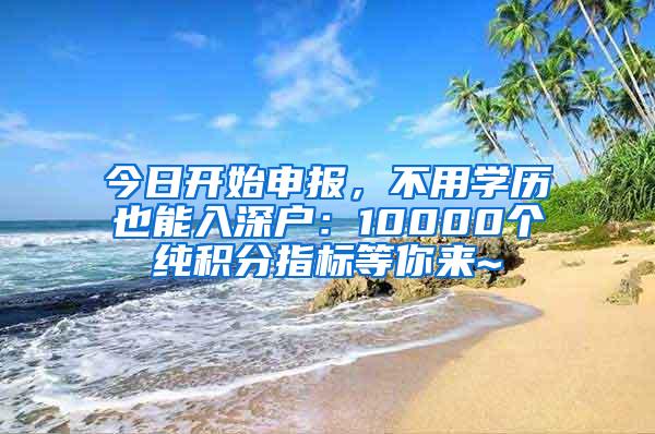 今日開始申報，不用學歷也能入深戶：10000個純積分指標等你來~