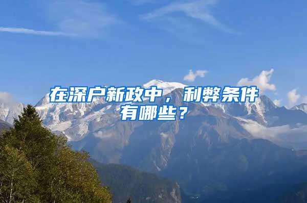 在深戶新政中，利弊條件有哪些？