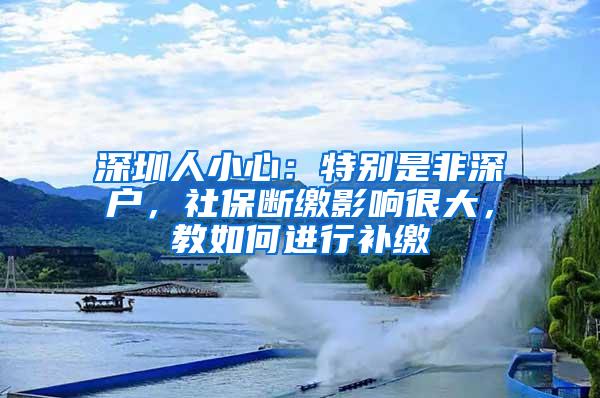 深圳人小心：特別是非深戶，社保斷繳影響很大，教如何進行補繳