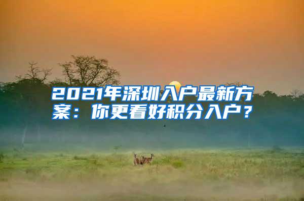 2021年深圳入戶最新方案：你更看好積分入戶？