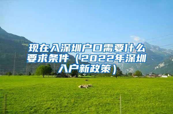 現(xiàn)在入深圳戶口需要什么要求條件（2022年深圳入戶新政策）