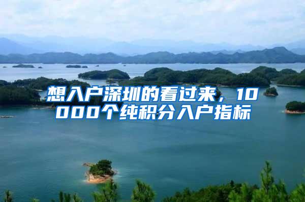 想入戶深圳的看過來，10000個純積分入戶指標(biāo)