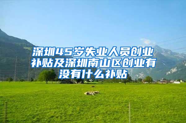 深圳45歲失業(yè)人員創(chuàng)業(yè)補(bǔ)貼及深圳南山區(qū)創(chuàng)業(yè)有沒(méi)有什么補(bǔ)貼