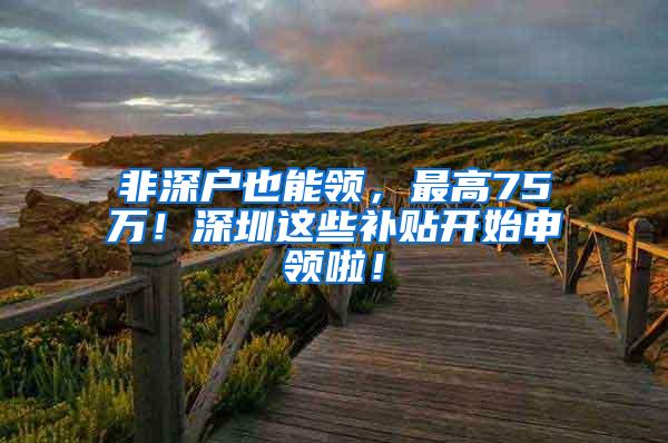 非深戶也能領，最高75萬！深圳這些補貼開始申領啦！