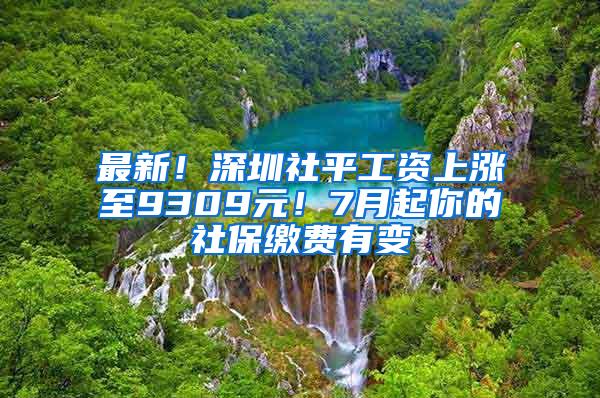 最新！深圳社平工資上漲至9309元！7月起你的社保繳費有變