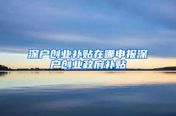 深戶創(chuàng)業(yè)補(bǔ)貼在哪申報(bào)深戶創(chuàng)業(yè)政府補(bǔ)貼