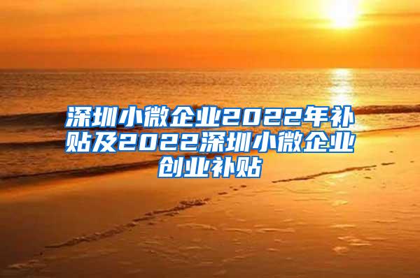 深圳小微企業(yè)2022年補貼及2022深圳小微企業(yè)創(chuàng)業(yè)補貼