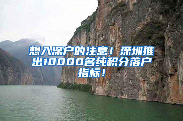 想入深戶的注意！深圳推出10000名純積分落戶指標(biāo)！