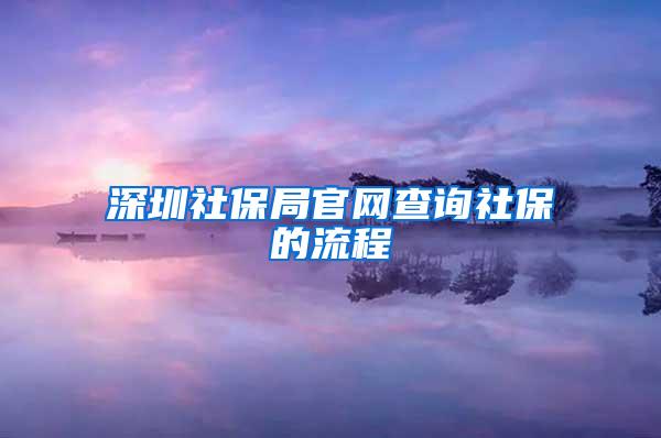 深圳社保局官網(wǎng)查詢社保的流程