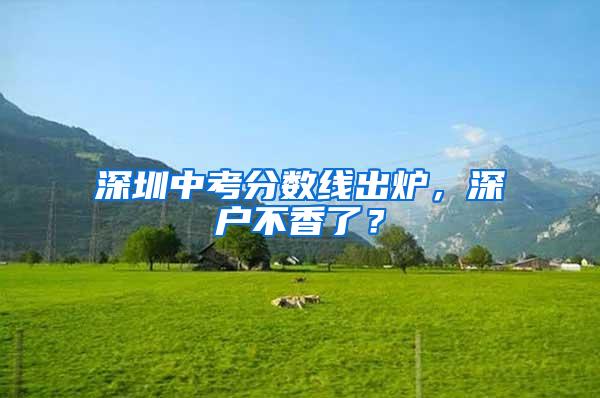 深圳中考分?jǐn)?shù)線出爐，深戶不香了？