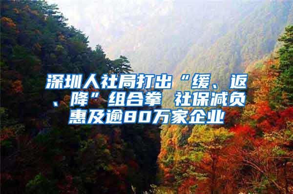 深圳人社局打出“緩、返、降”組合拳 社保減負(fù)惠及逾80萬(wàn)家企業(yè)