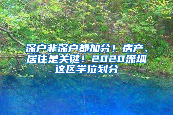 深戶非深戶都加分！房產(chǎn)、居住是關(guān)鍵！2020深圳這區(qū)學(xué)位劃分