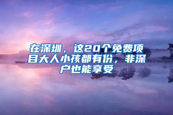 在深圳，這20個(gè)免費(fèi)項(xiàng)目大人小孩都有份，非深戶也能享受