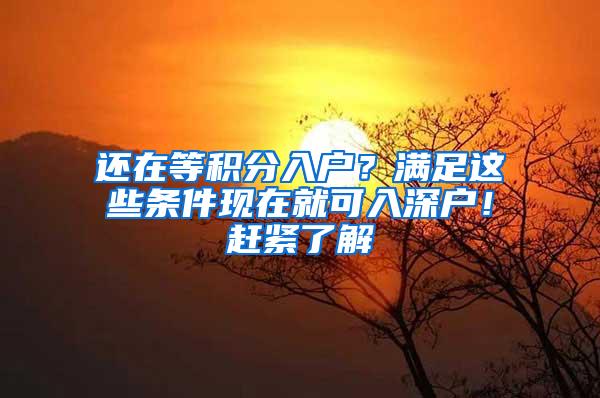 還在等積分入戶？滿足這些條件現(xiàn)在就可入深戶！趕緊了解