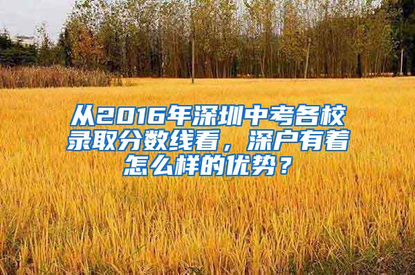 從2016年深圳中考各校錄取分?jǐn)?shù)線看，深戶有著怎么樣的優(yōu)勢？