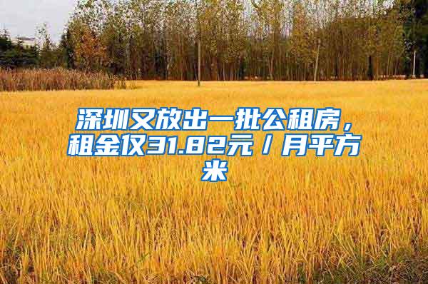 深圳又放出一批公租房，租金僅31.82元／月平方米