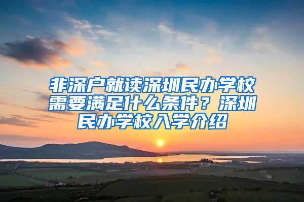 非深戶就讀深圳民辦學校需要滿足什么條件？深圳民辦學校入學介紹