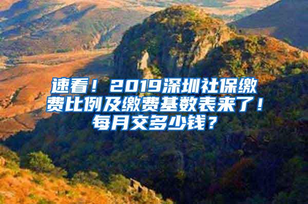 速看！2019深圳社保繳費(fèi)比例及繳費(fèi)基數(shù)表來(lái)了！每月交多少錢(qián)？