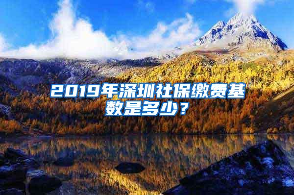 2019年深圳社保繳費(fèi)基數(shù)是多少？