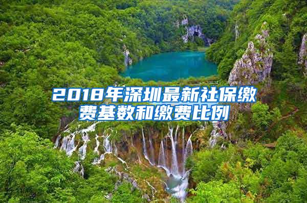 2018年深圳最新社保繳費基數(shù)和繳費比例