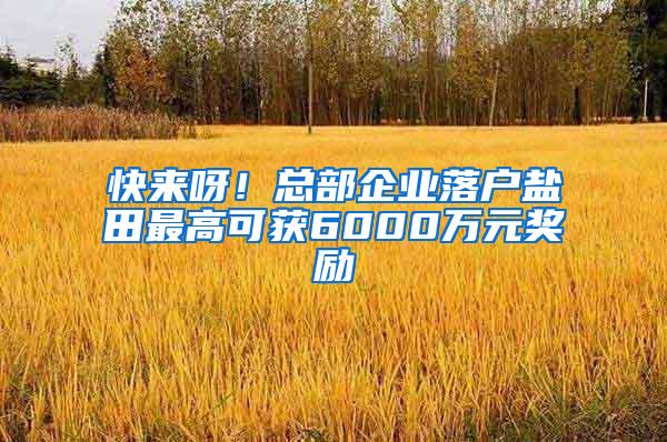 快來呀！總部企業(yè)落戶鹽田最高可獲6000萬元獎勵