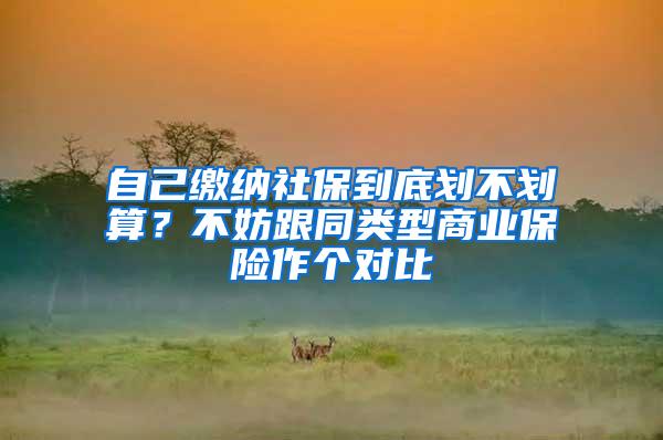 自己繳納社保到底劃不劃算？不妨跟同類型商業(yè)保險作個對比