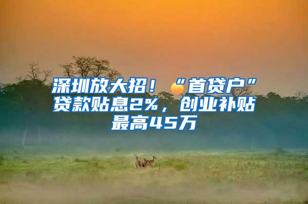 深圳放大招！“首貸戶”貸款貼息2%，創(chuàng)業(yè)補(bǔ)貼最高45萬