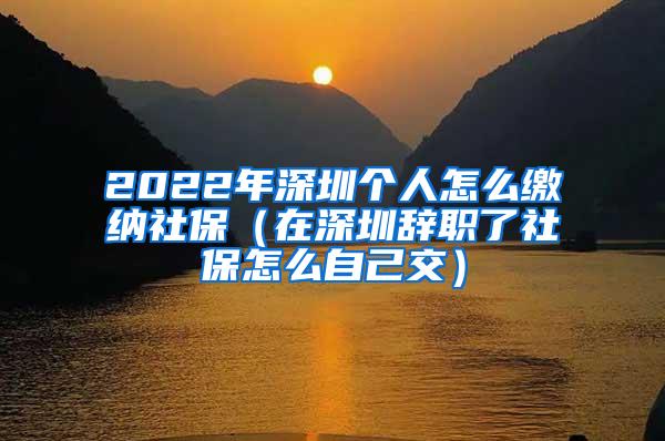 2022年深圳個(gè)人怎么繳納社保（在深圳辭職了社保怎么自己交）