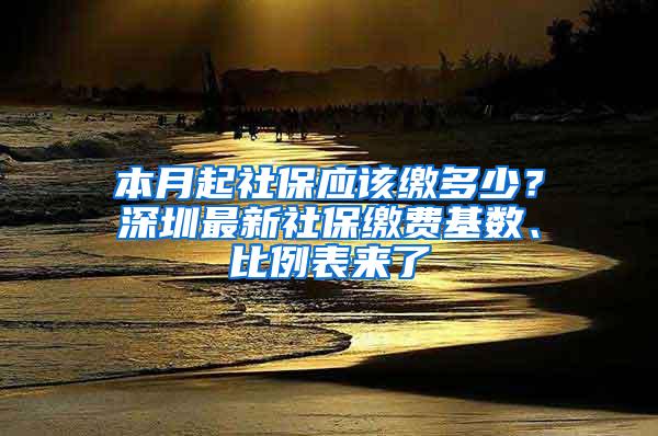 本月起社保應(yīng)該繳多少？深圳最新社保繳費(fèi)基數(shù)、比例表來了