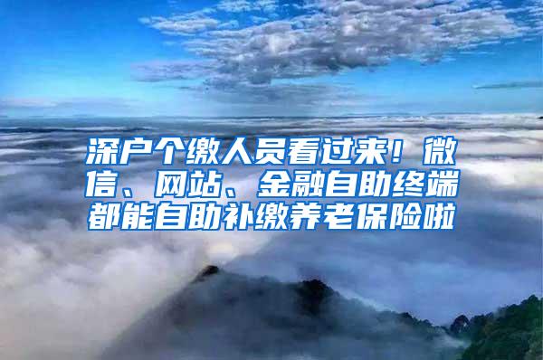 深戶個(gè)繳人員看過來！微信、網(wǎng)站、金融自助終端都能自助補(bǔ)繳養(yǎng)老保險(xiǎn)啦